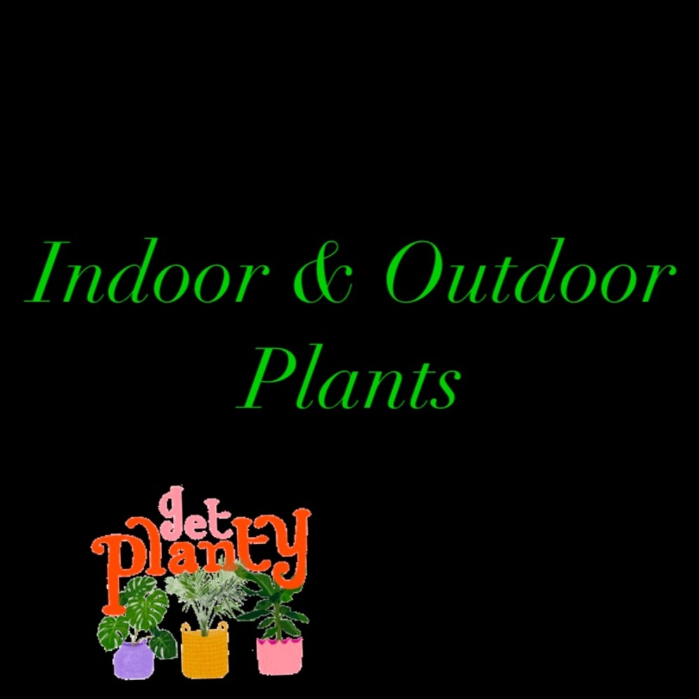 SHOP BELOW 🎋💚 Plants! There’s Never Enough 💚